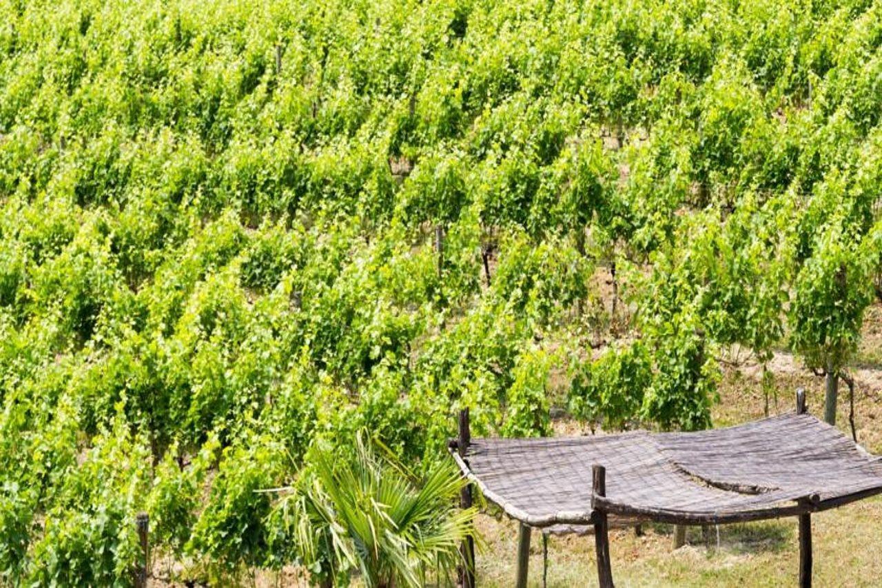Residence La Vigna Arco Εξωτερικό φωτογραφία